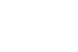 (c) Nuernberger-sicherheitskonferenz.de